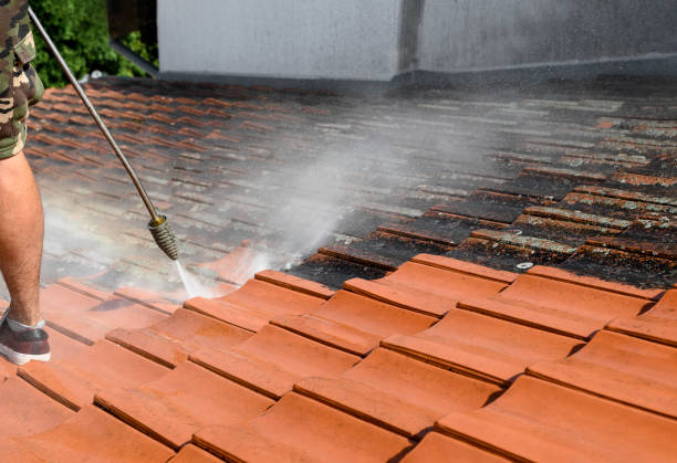 Best Deck Cleaning Services  in Random Lake, WI